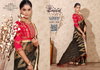 Parampara 49 By Kalpatru Designer Mosh Chiffon Sarees Wholesale Price In Surat